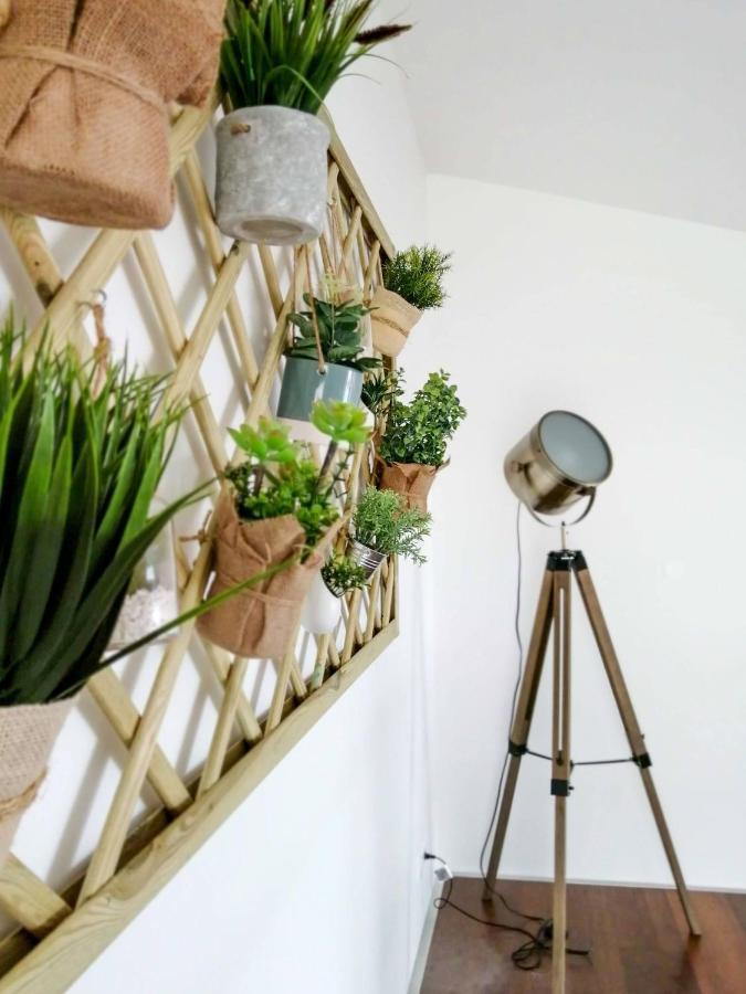 Ponta Delgada Ladeira Loft - Sea View In The City Center מראה חיצוני תמונה